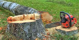 Best Utility Line Clearance  in Woodbine, GA
