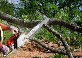 Best Weed Control  in Woodbine, GA